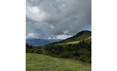 VENTA LOTE TARSO SUROESTE ANTIOQUEÑO