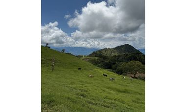 VENTA LOTE TARSO SUROESTE ANTIOQUEÑO