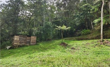 Vendo Lote en Parcelación en Caldas