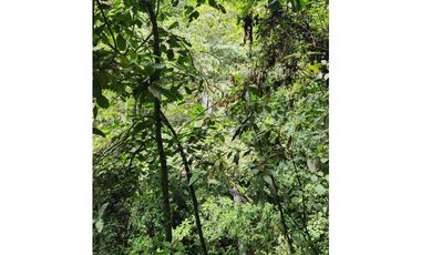 Vendo Lote en Parcelación en Caldas