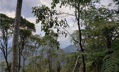 Vendo Lote en Parcelación en Caldas