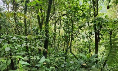 Vendo Lote en Parcelación en Caldas