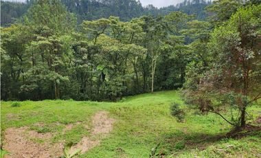 Vendo Lote en Parcelación en Caldas