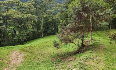 Vendo Lote en Parcelación en Caldas