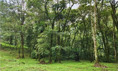 Vendo Lote en Parcelación en Caldas