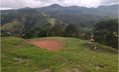 LOTE CON MUY LINDA VISTA EN YOLOMBÓ A 8 KMS DE CISNEROS