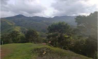 LOTE CON MUY LINDA VISTA EN YOLOMBÓ A 8 KMS DE CISNEROS