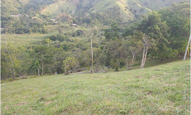 LOTE CON MUY LINDA VISTA EN YOLOMBÓ A 8 KMS DE CISNEROS