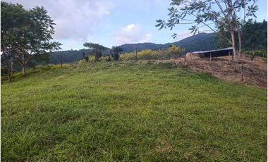 LOTE CON MUY LINDA VISTA EN YOLOMBÓ A 8 KMS DE CISNEROS