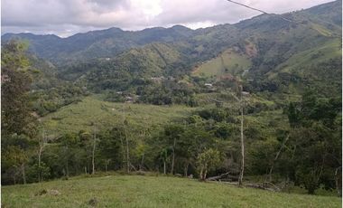 LOTE CON MUY LINDA VISTA EN YOLOMBÓ A 8 KMS DE CISNEROS