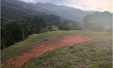LOTE CON MUY LINDA VISTA EN YOLOMBÓ A 8 KMS DE CISNEROS