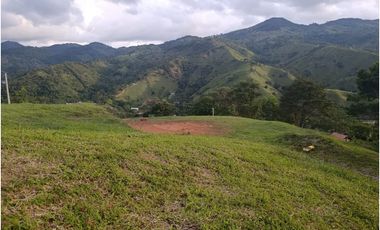 LOTE CON MUY LINDA VISTA EN YOLOMBÓ A 8 KMS DE CISNEROS