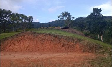 LOTE CON MUY LINDA VISTA EN YOLOMBÓ A 8 KMS DE CISNEROS