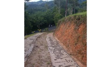 LOTE CON MUY LINDA VISTA EN YOLOMBÓ A 8 KMS DE CISNEROS