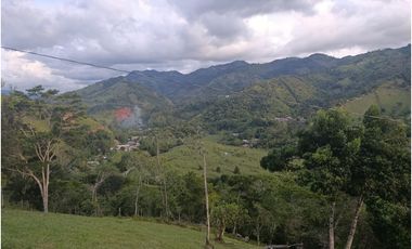 LOTE CON MUY LINDA VISTA EN YOLOMBÓ A 8 KMS DE CISNEROS