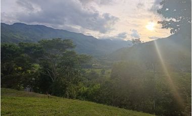 LOTE CON MUY LINDA VISTA EN YOLOMBÓ A 8 KMS DE CISNEROS