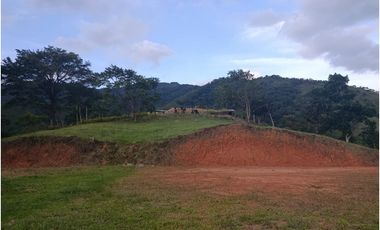 LOTE CON MUY LINDA VISTA EN YOLOMBÓ A 8 KMS DE CISNEROS