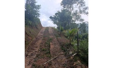 LOTE CON MUY LINDA VISTA EN YOLOMBÓ A 8 KMS DE CISNEROS