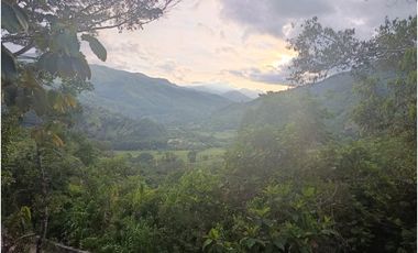 LOTE CON MUY LINDA VISTA EN YOLOMBÓ A 8 KMS DE CISNEROS