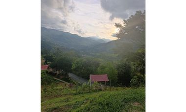 LOTE CON MUY LINDA VISTA EN YOLOMBÓ A 8 KMS DE CISNEROS