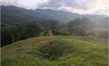 LOTE CON MUY LINDA VISTA EN YOLOMBÓ A 8 KMS DE CISNEROS