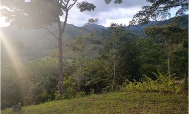 LOTE CON MUY LINDA VISTA EN YOLOMBÓ A 8 KMS DE CISNEROS
