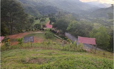 LOTE CON MUY LINDA VISTA EN YOLOMBÓ A 8 KMS DE CISNEROS