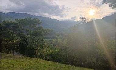 LOTE CON MUY LINDA VISTA EN YOLOMBÓ A 8 KMS DE CISNEROS