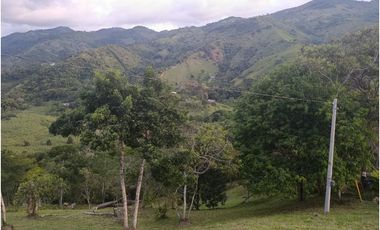LOTE CON MUY LINDA VISTA EN YOLOMBÓ A 8 KMS DE CISNEROS