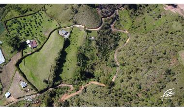 VENTA DE FINCA + 2 LOTES EN GUATAPÉ.ANTIOQUIA