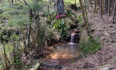 VENTA DE FINCA + 2 LOTES EN GUATAPÉ.ANTIOQUIA