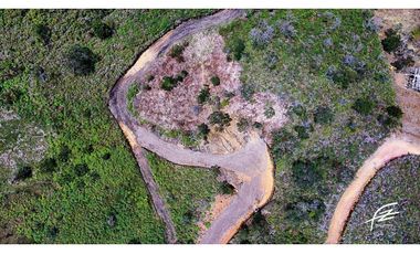 VENTA DE FINCA + 2 LOTES EN GUATAPÉ.ANTIOQUIA