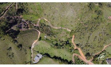 VENTA DE FINCA + 2 LOTES EN GUATAPÉ.ANTIOQUIA