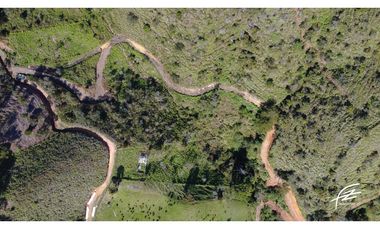 VENTA DE FINCA + 2 LOTES EN GUATAPÉ.ANTIOQUIA