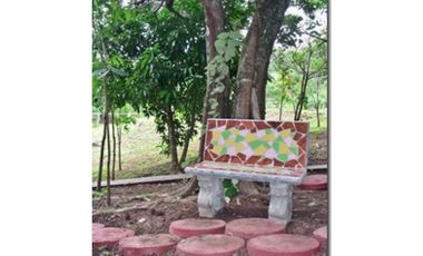 SAN CARLOS / LA LAGUNA / 5263M / VISTA AL MAR / CERCA DE RIO AG