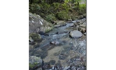 SAN CARLOS / LA LAGUNA / 5263M / VISTA AL MAR / CERCA DE RIO AG