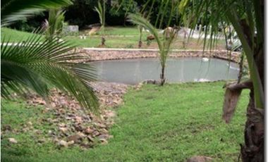 SAN CARLOS / LA LAGUNA / 5263M / VISTA AL MAR / CERCA DE RIO AG