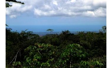 SAN CARLOS / LA LAGUNA / 5263M / VISTA AL MAR / CERCA DE RIO AG