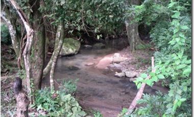 SAN CARLOS / LA LAGUNA / 5263M / VISTA AL MAR / CERCA DE RIO AG