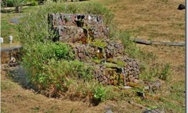 SAN CARLOS / LA LAGUNA / 5263M / VISTA AL MAR / CERCA DE RIO AG