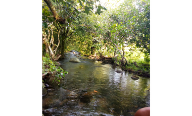 Venta de finca en Dolega Chiriqui
