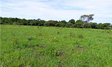 Venta de finca en Dolega Chiriqui