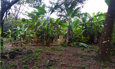 Venta de finca en Dolega Chiriqui