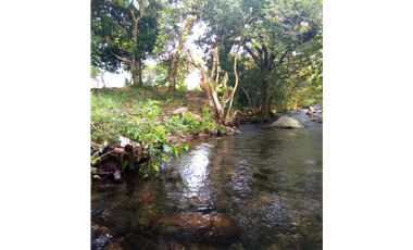 Venta de finca en Dolega Chiriqui