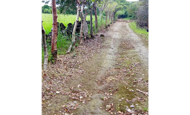 Venta de finca en Dolega Chiriqui