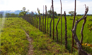 Venta de finca en Dolega Chiriqui