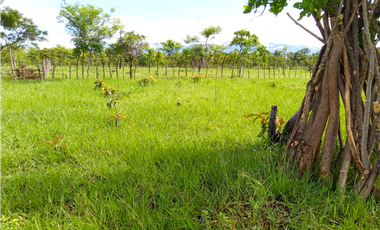 Venta de finca en Dolega Chiriqui