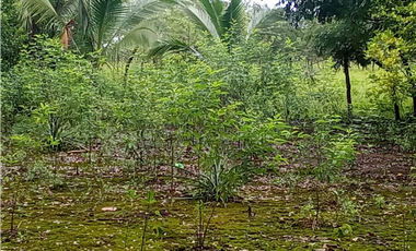 Venta de finca en Dolega Chiriqui