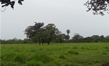 Venta de finca en Dolega Chiriqui
