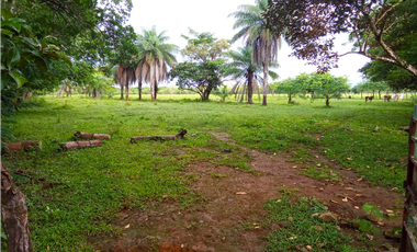 Venta de finca en Dolega Chiriqui